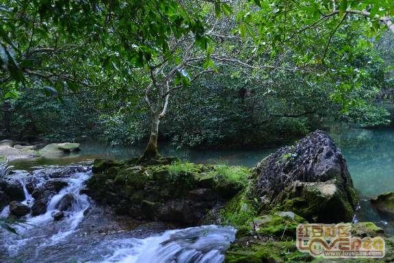 应该怎么怎么面对办公室恋情?-知识星球平台,专注知识交流与分享